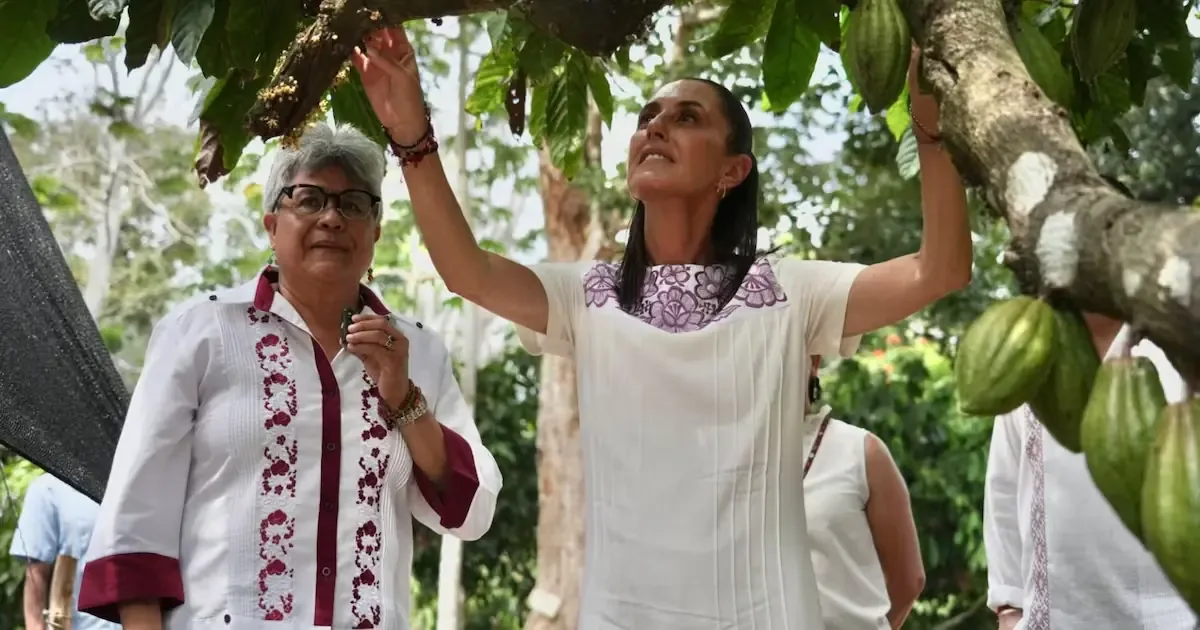 La planta busca mejorar ingresos de productores de cacao en Tabasco y concluirá en 2027.