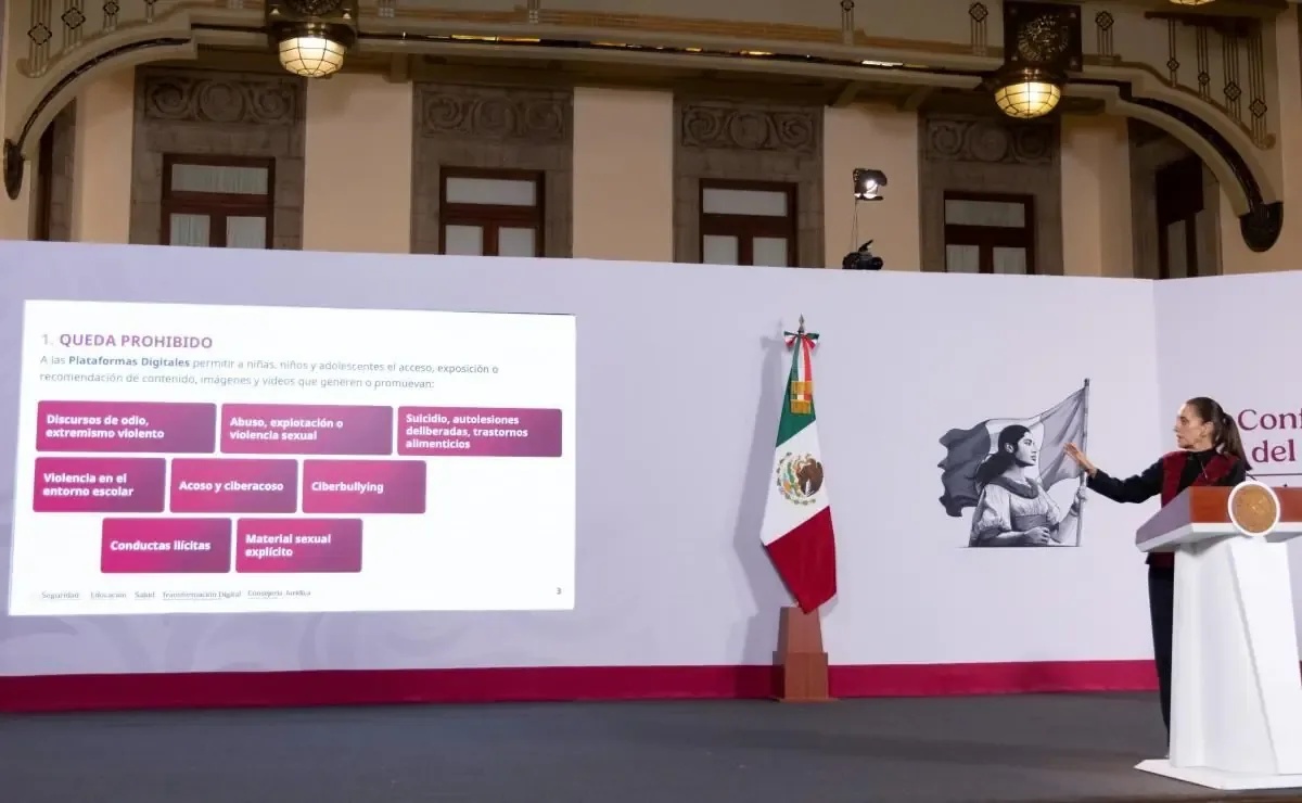 Este decreto busca crear entornos digitales seguros para evitar conductas perjudiciales hacia menores de edad.