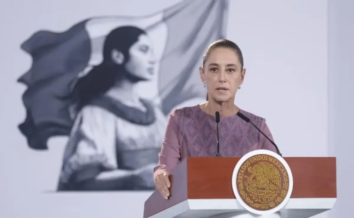 La presidenta asegura que la ley protege derechos de autor y combate fraudes en redes sociales.