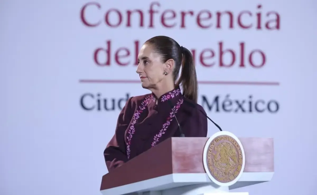 La mandataria espera aclarar las razones por las que fue retirada la ficha roja a la pareja.