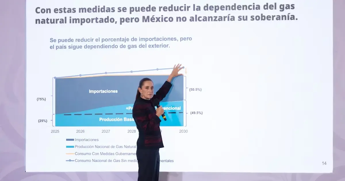 La presidenta analizó la dependencia energética del país y la necesidad de fracking en su estrategia.
