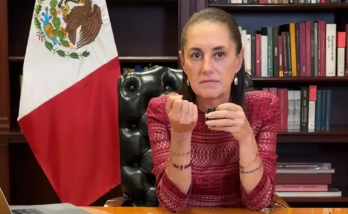 El decreto busca garantizar entornos seguros en redes para niños y adolescentes.