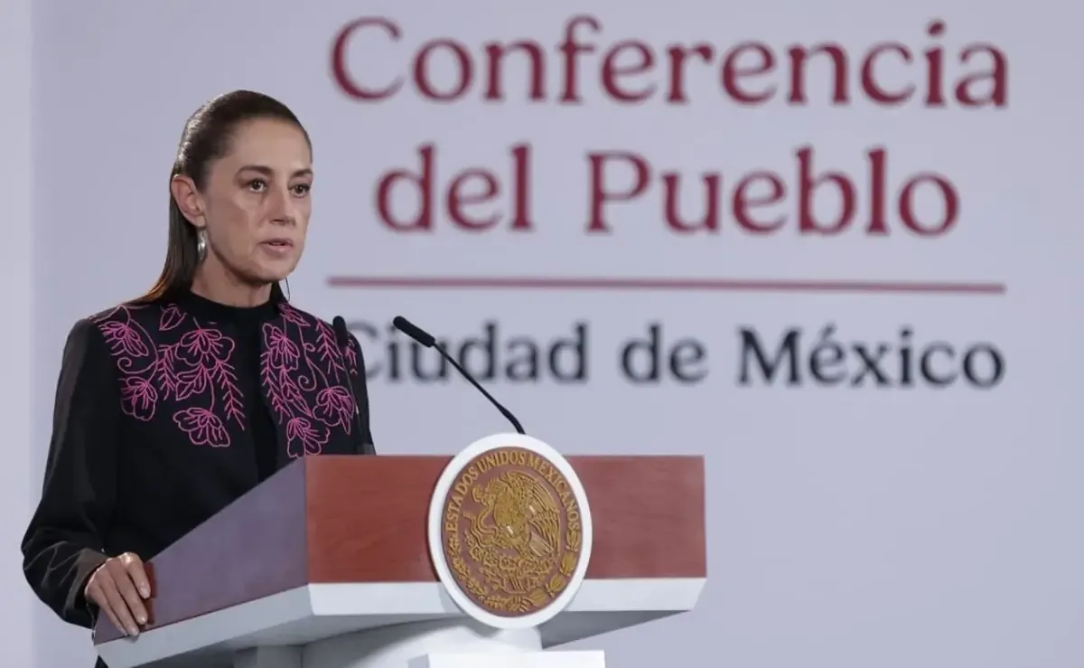 La presidenta pidió que se inicien investigaciones si existen elementos suficientes contra el exfuncionario.