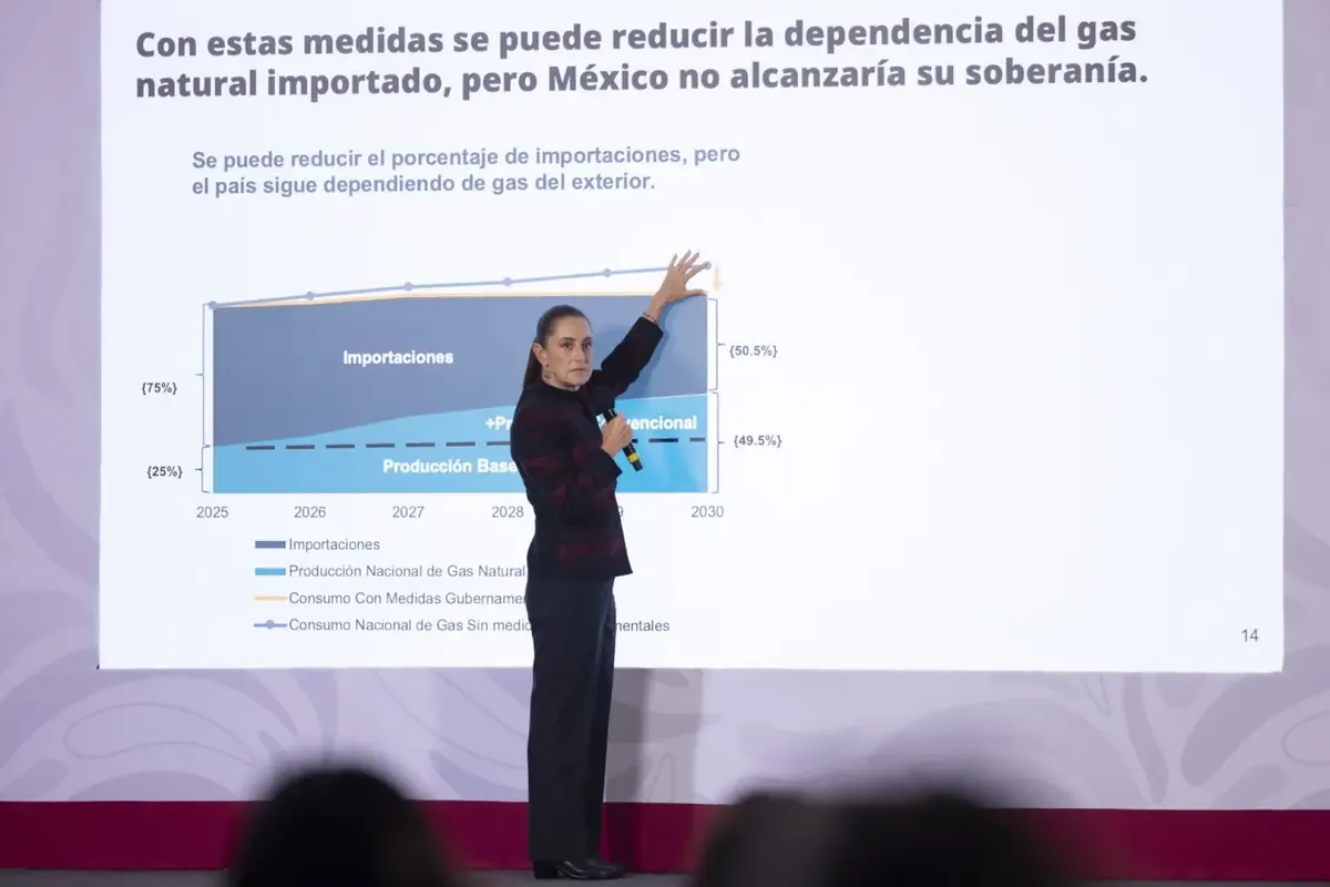 La recomendación de expertos busca cuidar recursos hídricos y reducir dependencia del gas importado.