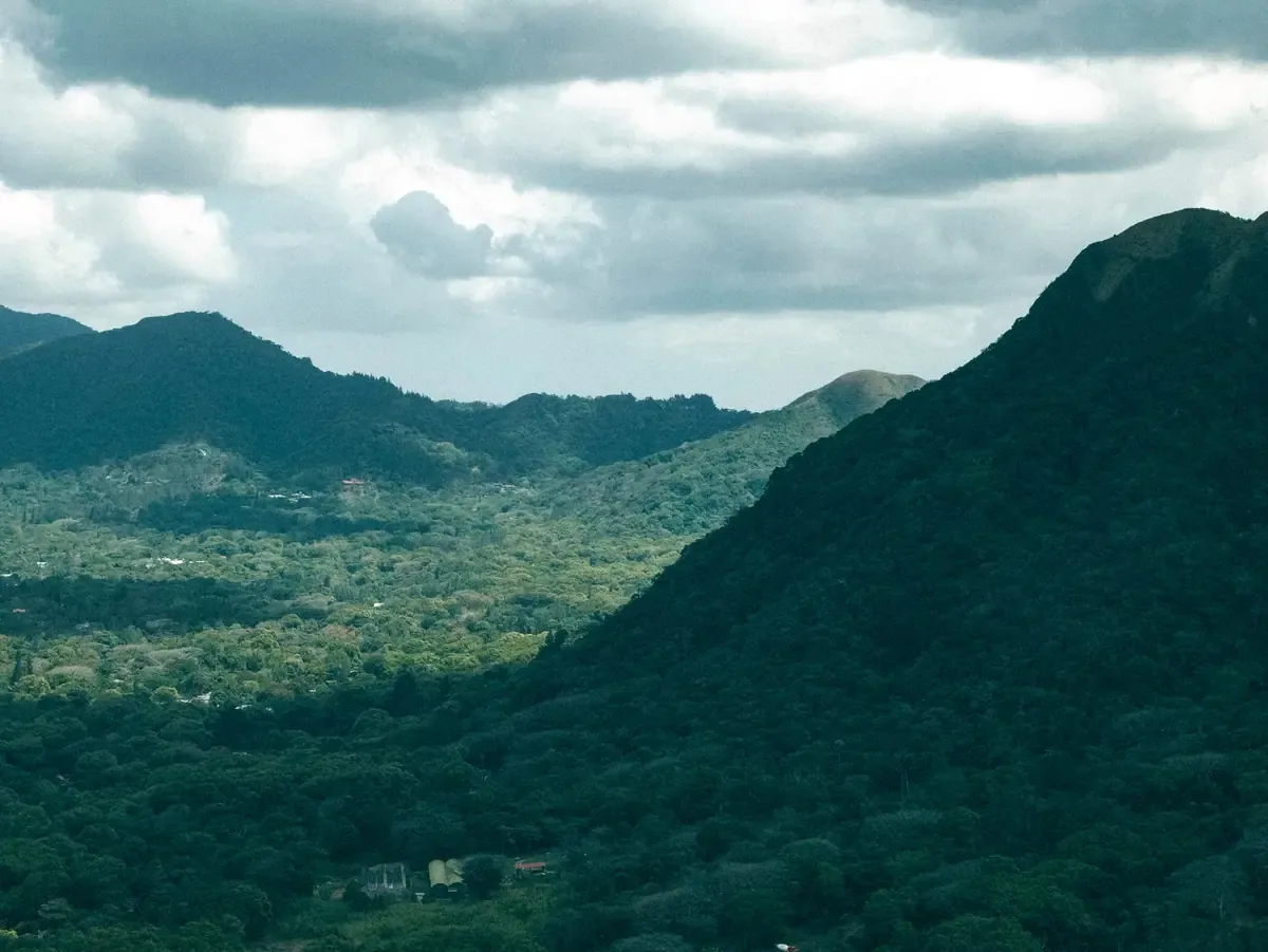 La Sierra Gorda de Querétaro se beneficia al pagar a campesinos por conservar sus bosques y el jaguar vuelve a su hábitat.