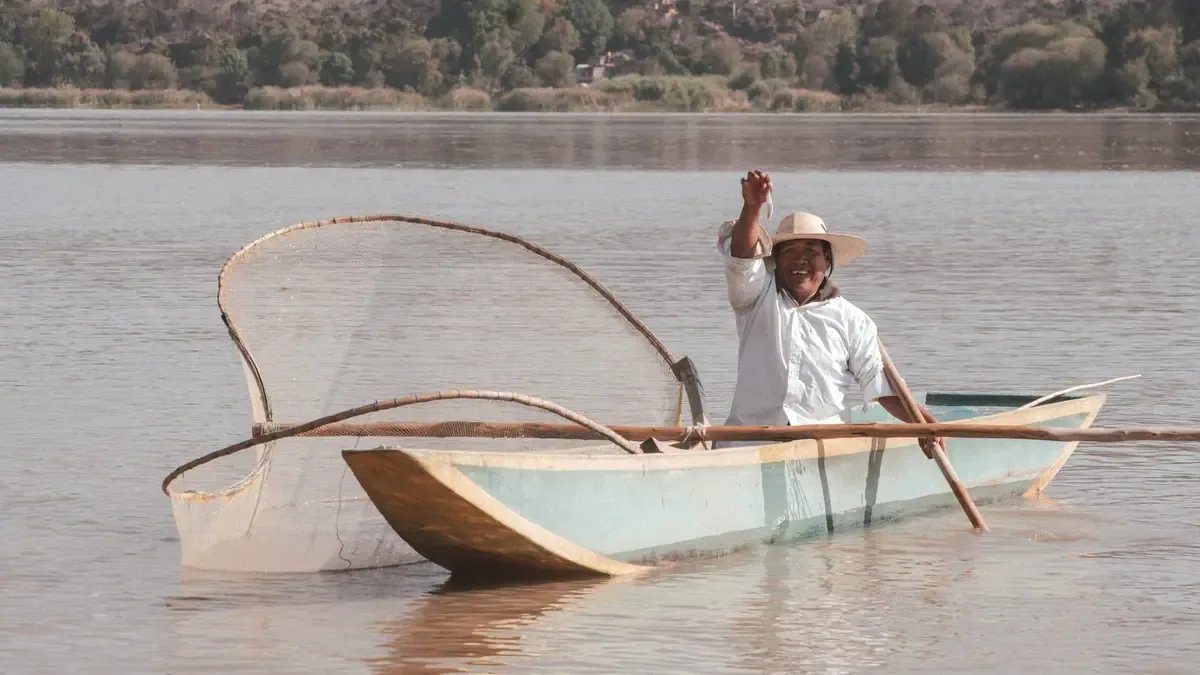 A partir del 22 de septiembre, pescadores de Sinaloa enfrentarán desafíos en la temporada de camarón.