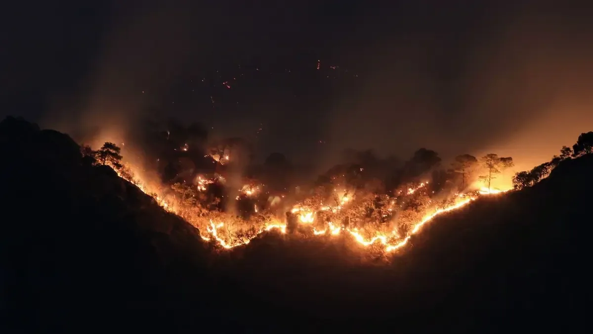 Las temperaturas podrían romper récords y aumentar los incendios forestales en México en 2027.