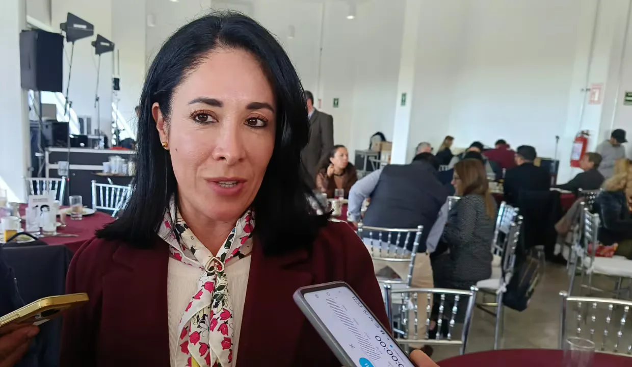 Solicitudes de adopción en Edomex destacan el interés por niñas y adolescentes.