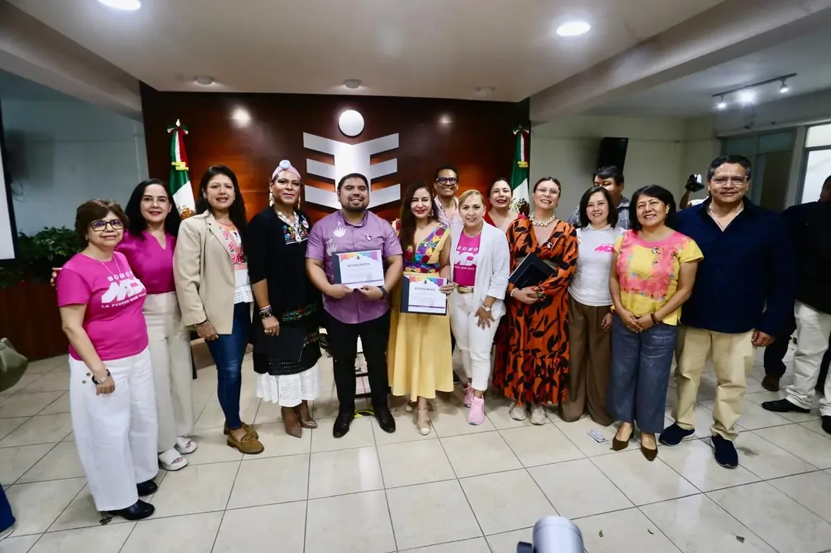 La organización busca asegurar representación democrática efectiva para la diversidad sexual en el proceso electoral local.