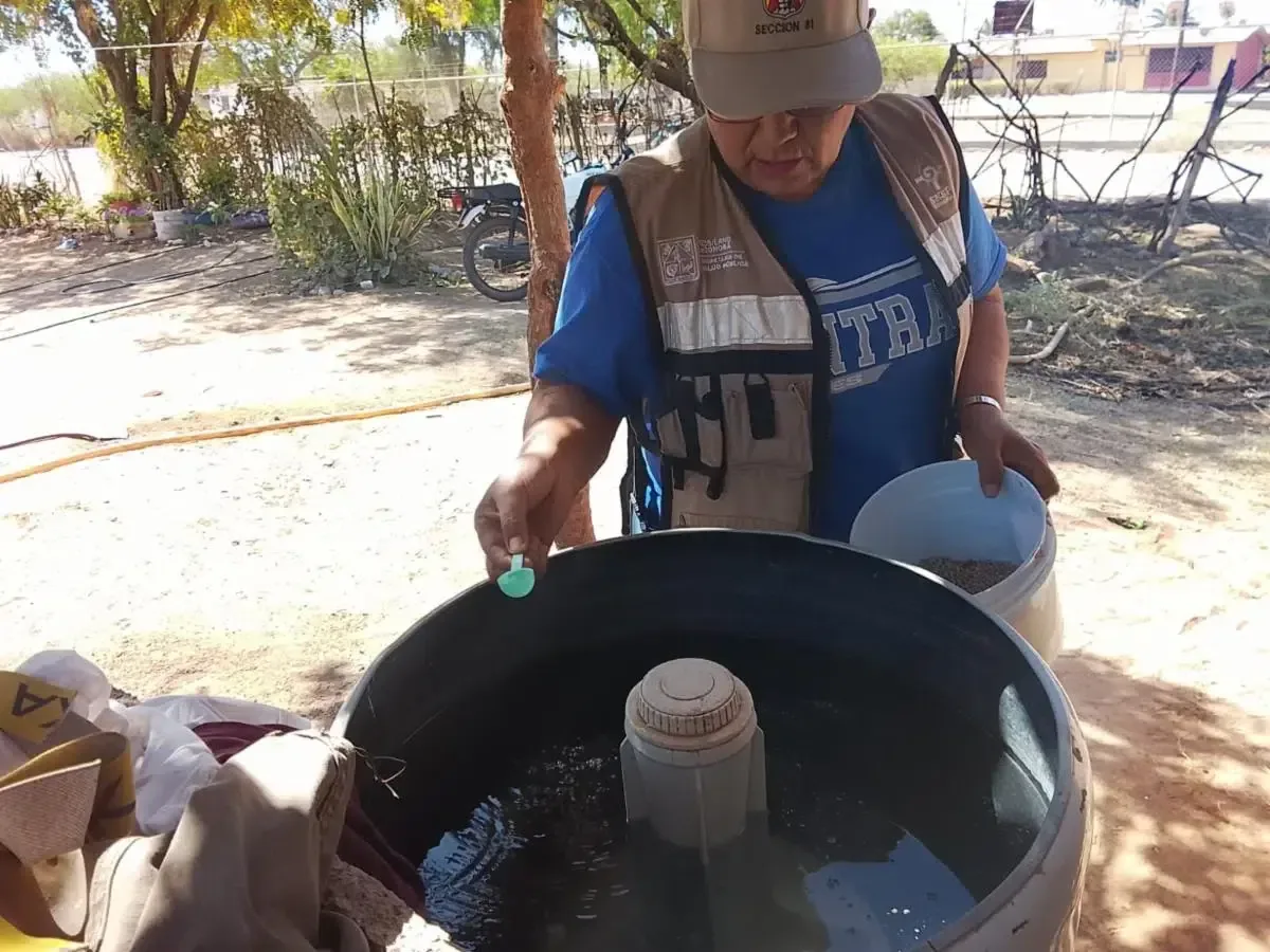 El Gobierno de Sonora intensifica medidas para prevenir la propagación del dengue en el estado.