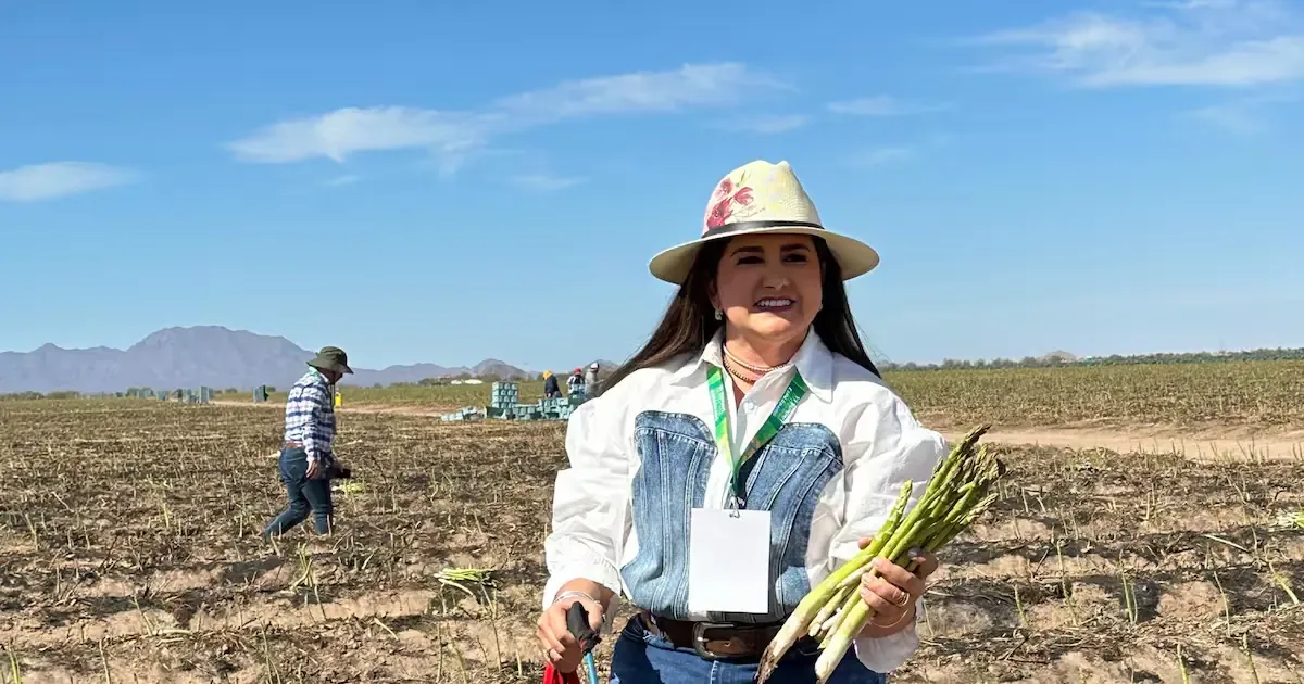 La colaboración entre el Gobierno y productores fortalece el sector en Sonora.