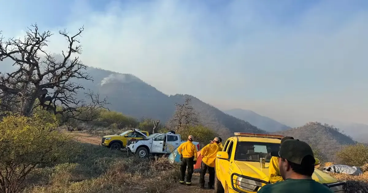 Un incendio en Arivechi afecta 1,202 hectáreas, concentrando uno de cada seis siniestros activos en el país.