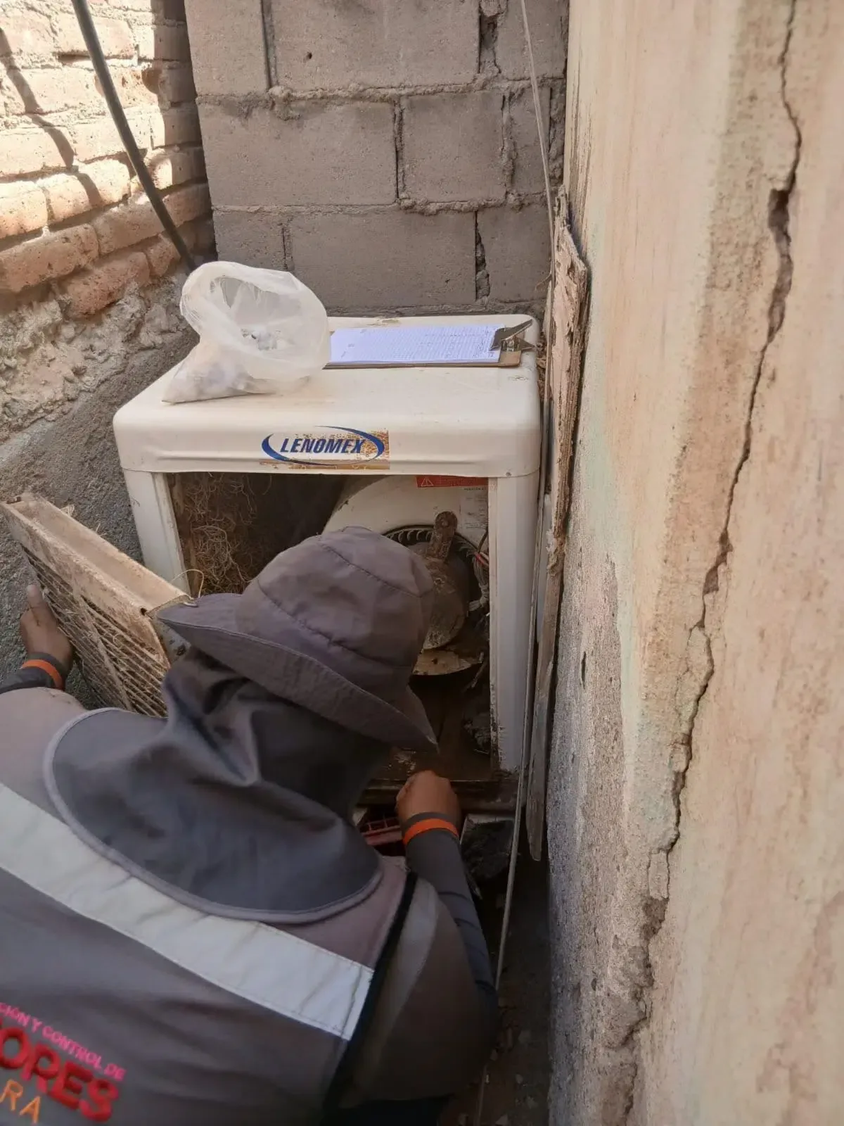 El Gobierno de Sonora intensifica la lucha contra el dengue con estrategias de prevención y control en la comunidad.