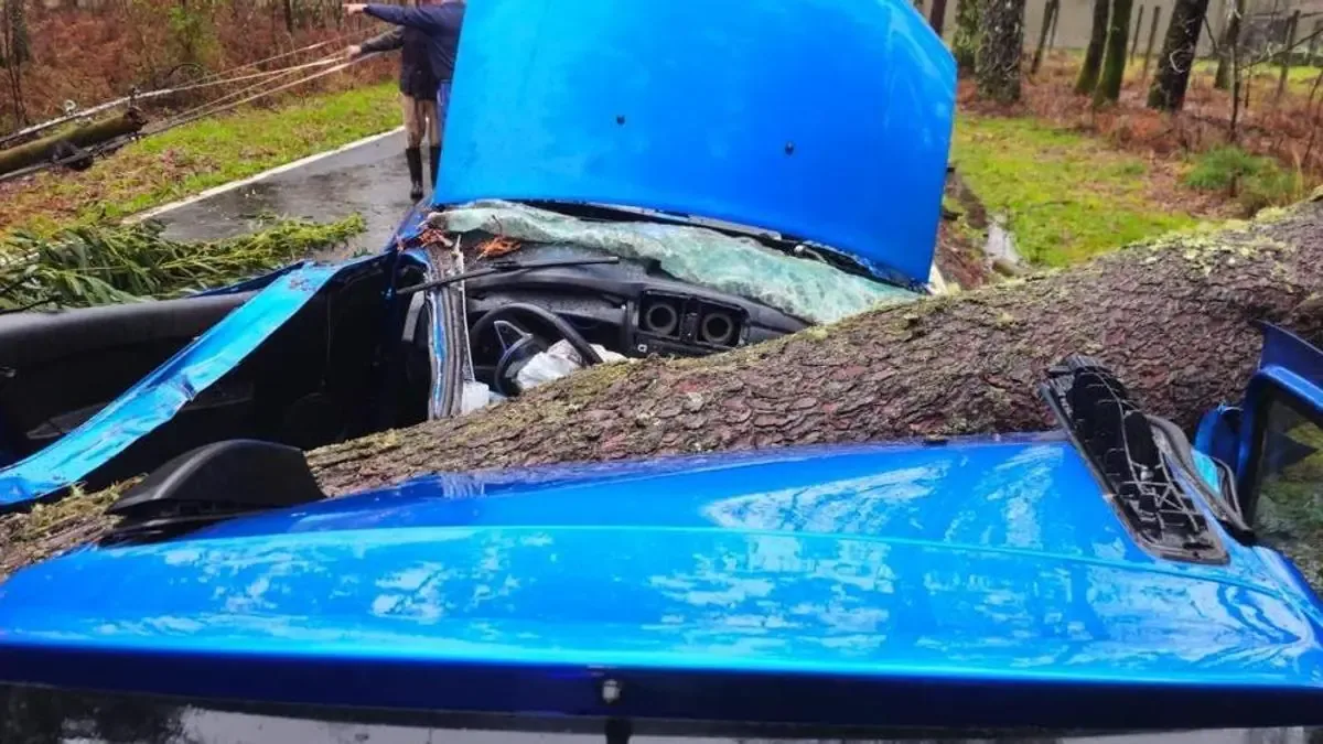 Su rápida reacción evitó que el accidente tuviera un desenlace trágico.
