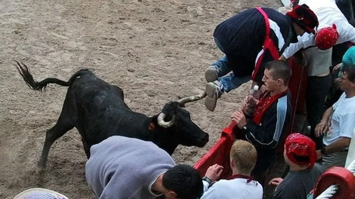 El uso de fondos públicos para eventos taurinos en Cantabria despierta controversia y cuestionamientos sobre su impacto real.