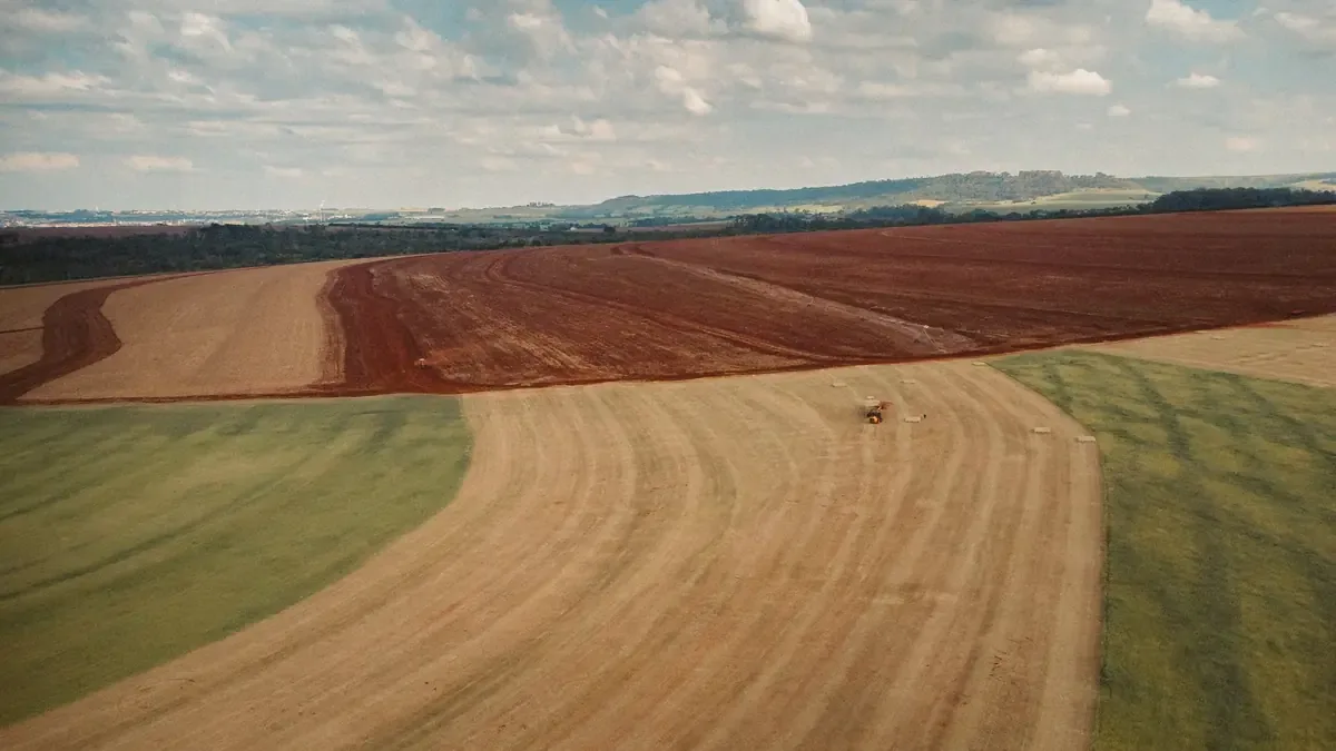 La región se adapta a nuevas tecnologías para maximizar la producción agrícola.