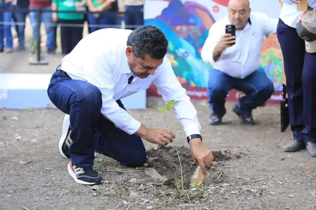 La reforestación en Tabasco busca recuperar la cobertura vegetal del estado y proteger su biodiversidad.
