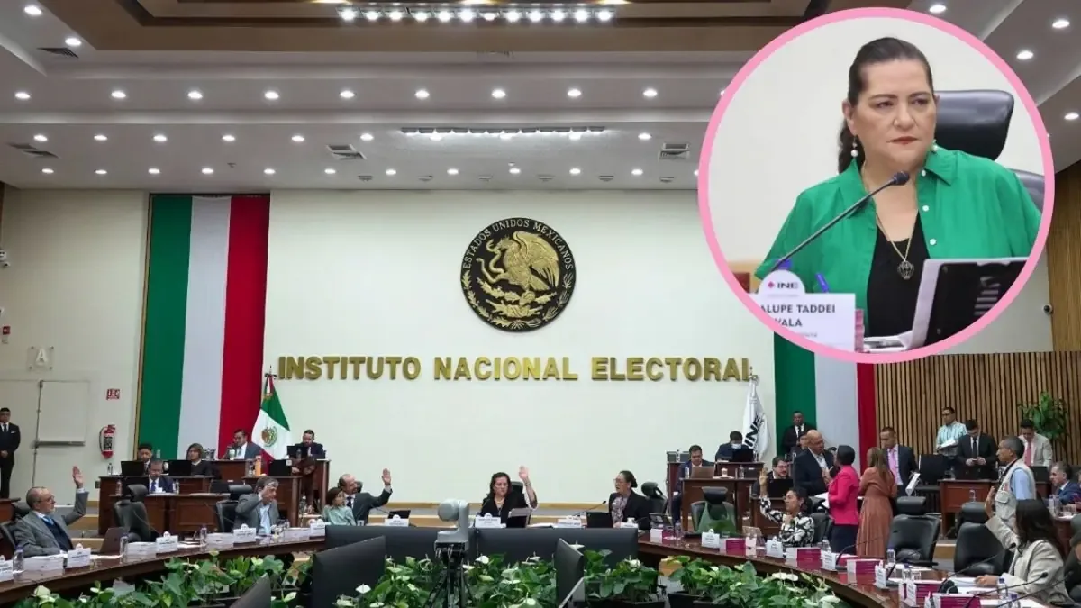 Taddei afirmó que las diferencias entre consejeros son normales y no indican disputas en el INE.