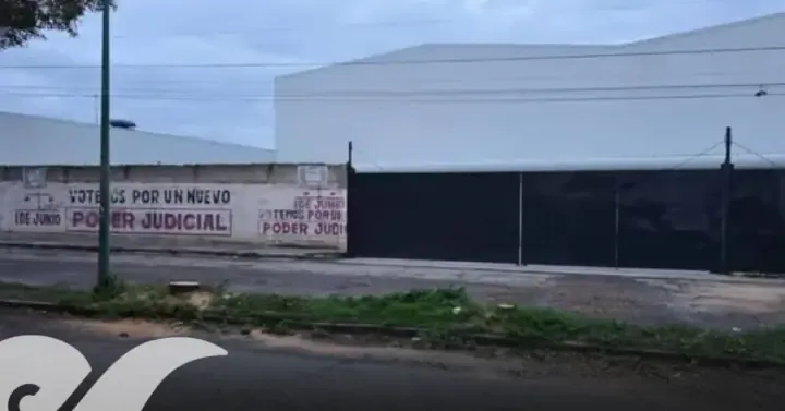La tala generó controversia y se investiga la necesidad de los permisos otorgados.