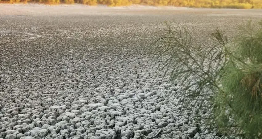 Inician talleres en julio para involucrar a la comunidad en el cambio climático en el estado.