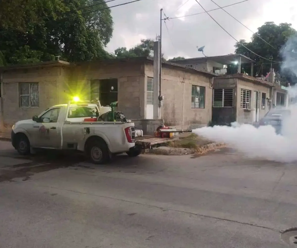 La ampliación de labores preventivas en Tampico busca reducir el riesgo de transmisión del dengue.