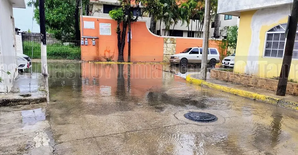 Se busca mitigar el aumento de la temperatura ambiental a través de la reforestación en la ciudad.