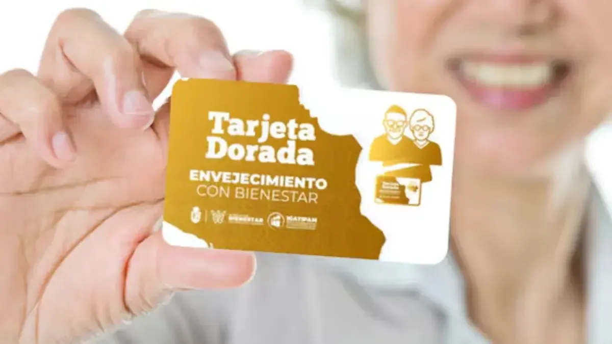 Los módulos de INAPAM facilitan el acceso a beneficios esenciales para la tercera edad.