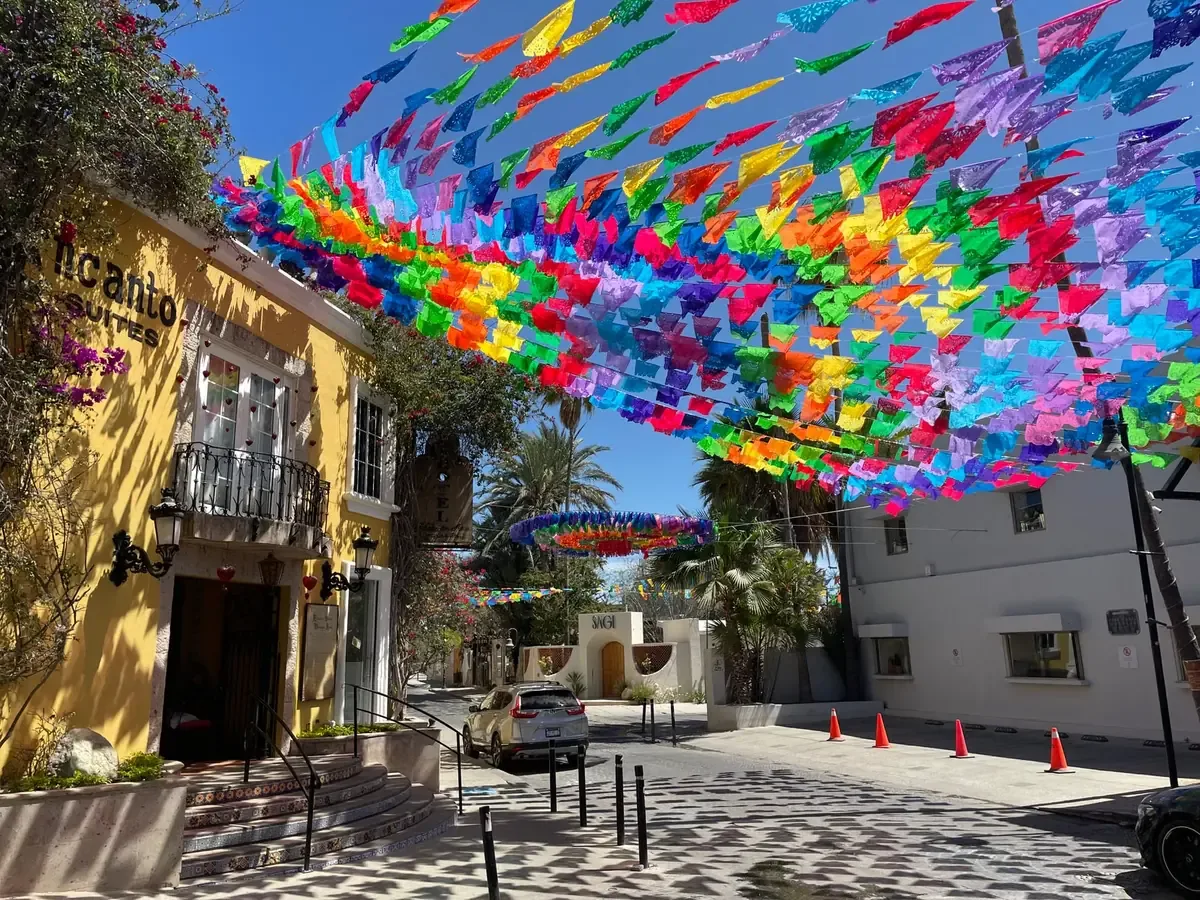 Un tigre es trasladado a un zoológico tras ser rescatado en San José del Cabo, garantizando su bienestar.