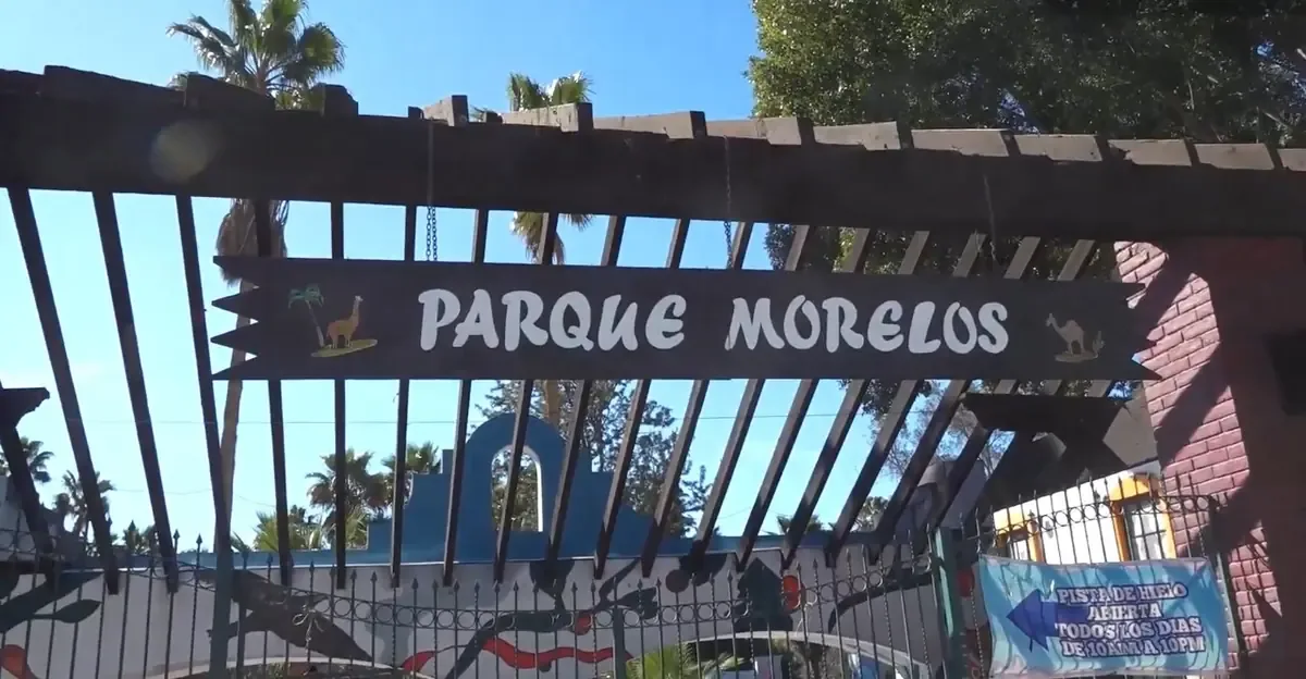 El traslado de las especies del Parque Morelos será gradual y dependerá de evaluaciones médicas.