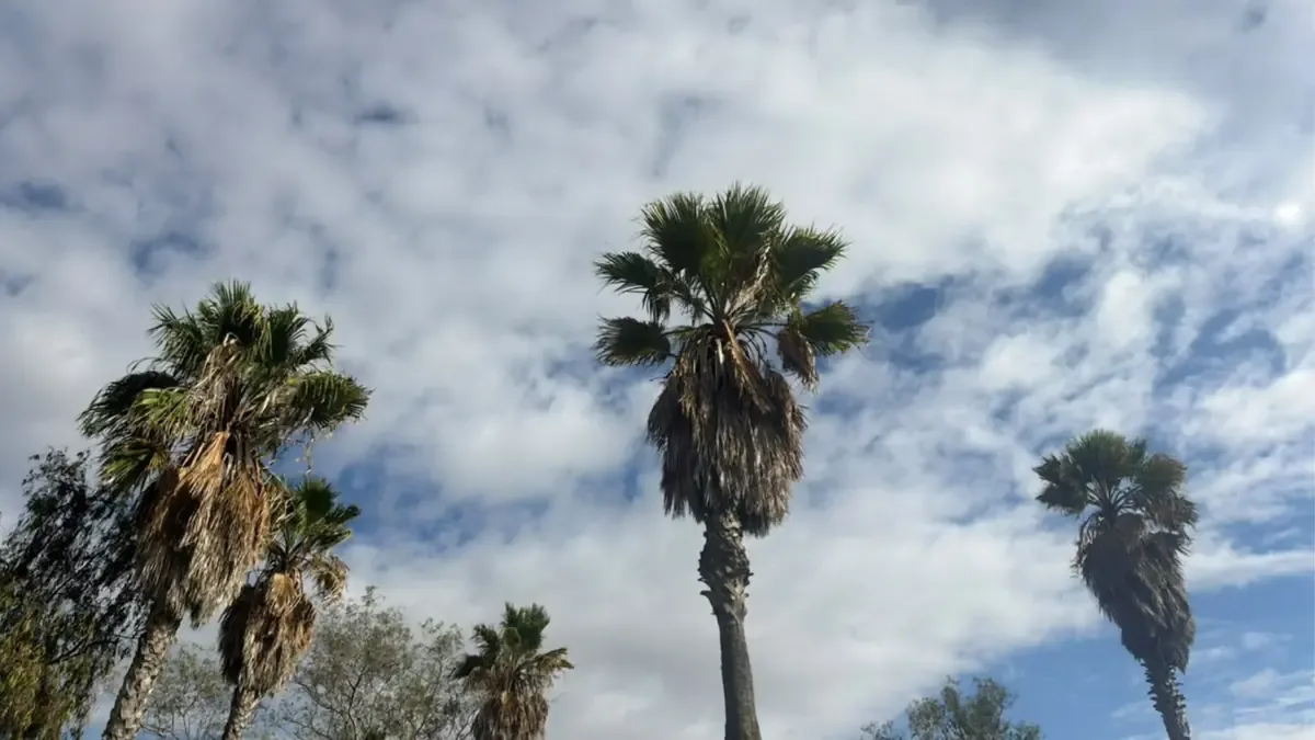 La ciudad de Tijuana enfrentará lloviznas y viento del oeste, afectando la movilidad.