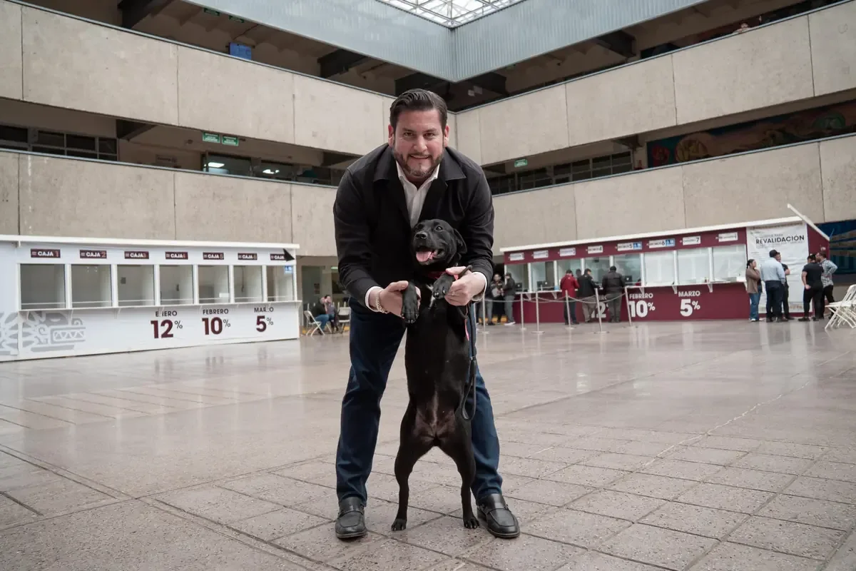 La administración municipal refuerza acciones para brindar atención veterinaria y fomentar adopciones responsables.