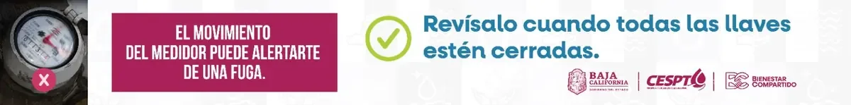 Este programa busca involucrar a la juventud en la vigilancia de servicios públicos y promover la inclusión social.