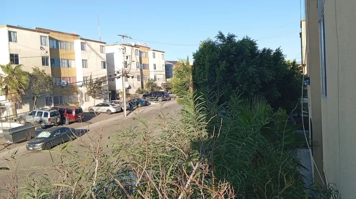 La falta de agua y electricidad afecta a 500 familias en Tijuana que demandan soluciones inmediatas.