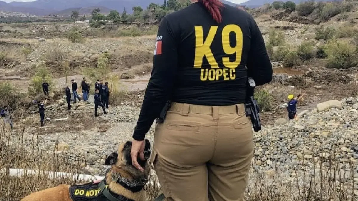 El paso de la tormenta tropical Rachel ha dejado tragedia en Maneadero, donde buscan a desaparecidos.