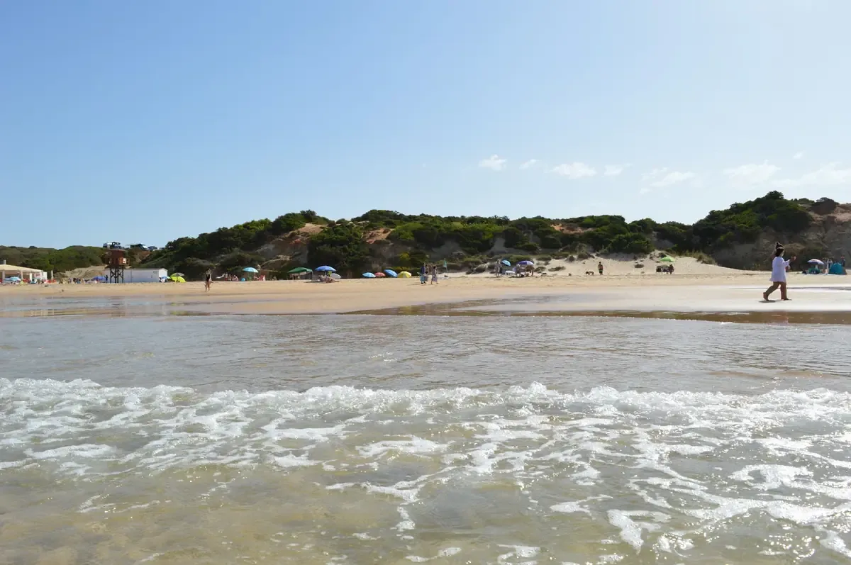 La protección de nidos en Gador busca preservar las tortugas marinas frente a amenazas humanas.