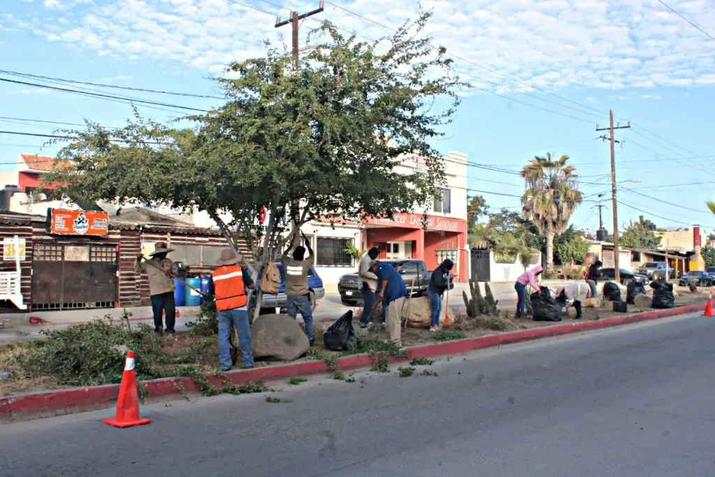 "Trabajadores del programa de Empleo Temporal en acción en Los Cabos."