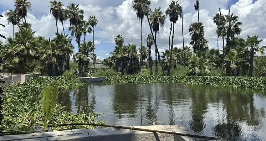 Trabajos de limpieza en el Estero de San José del Cabo para restaurar el ecosistema.