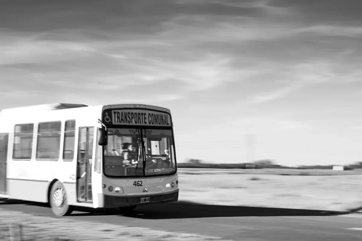 Moderna reestructuración del transporte público en Cancún busca mejorar la movilidad y reducir tiempos de traslado.