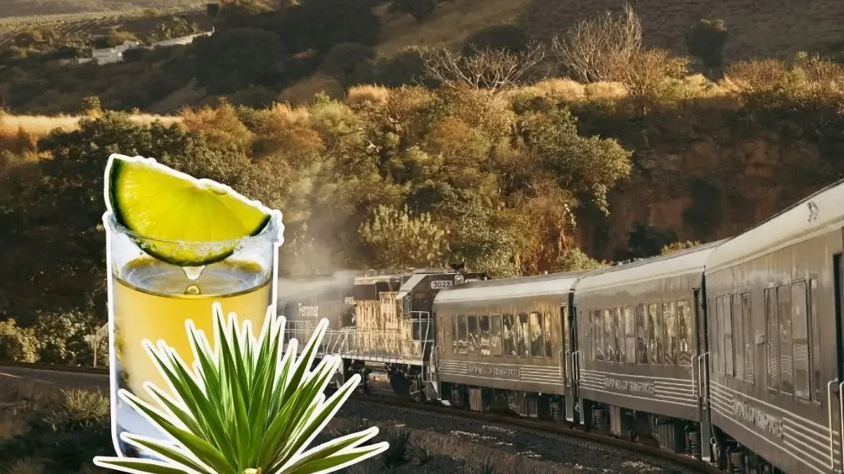 Este tren conecta Guadalajara con Tequila, ofreciendo una experiencia cultural única.