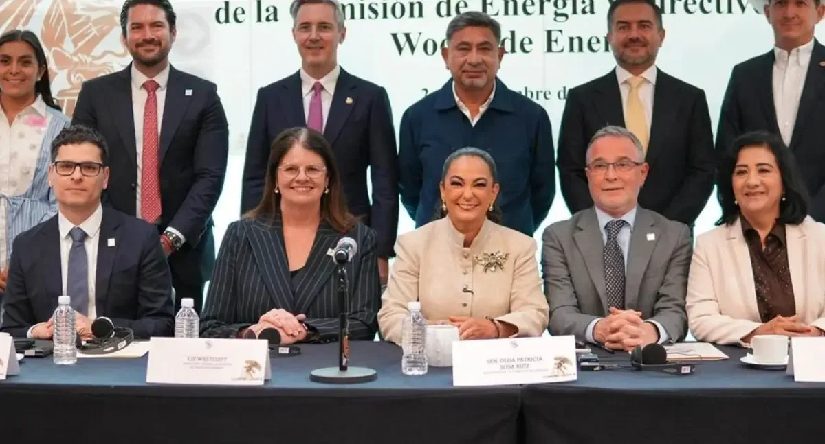 La senadora Sosa destaca la importancia de la inversión energética para el desarrollo económico en Tamaulipas.