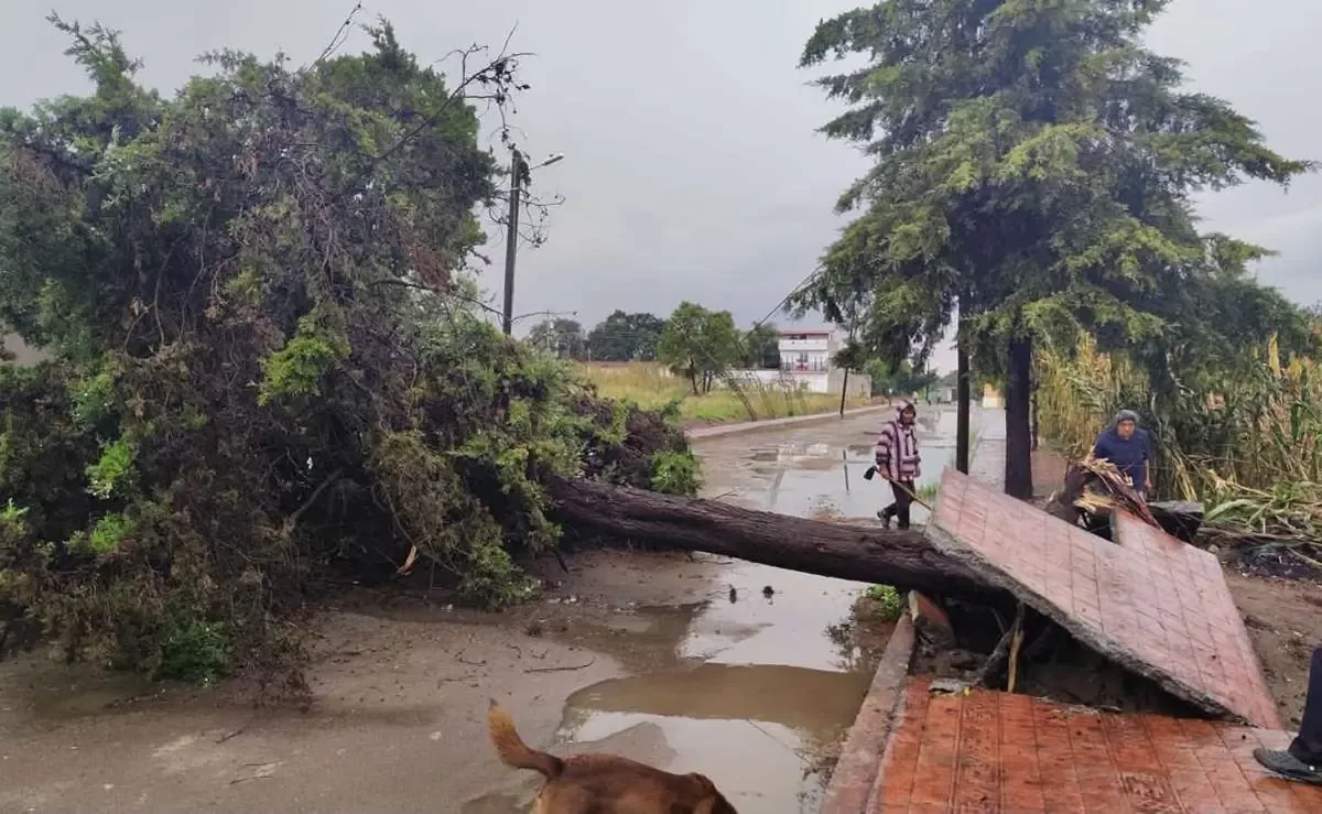 La tromba en Tlaxcala dejó severas afectaciones materiales y obliga a mantener la alerta por más lluvias.
