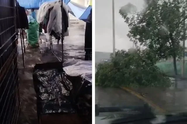 Las fuertes lluvias afectaron gravemente a comerciantes y vialidades en la región.
