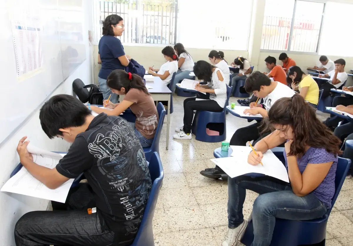 Expertos advierten sobre la necesidad de capacitación sólida y un currículum integrado.