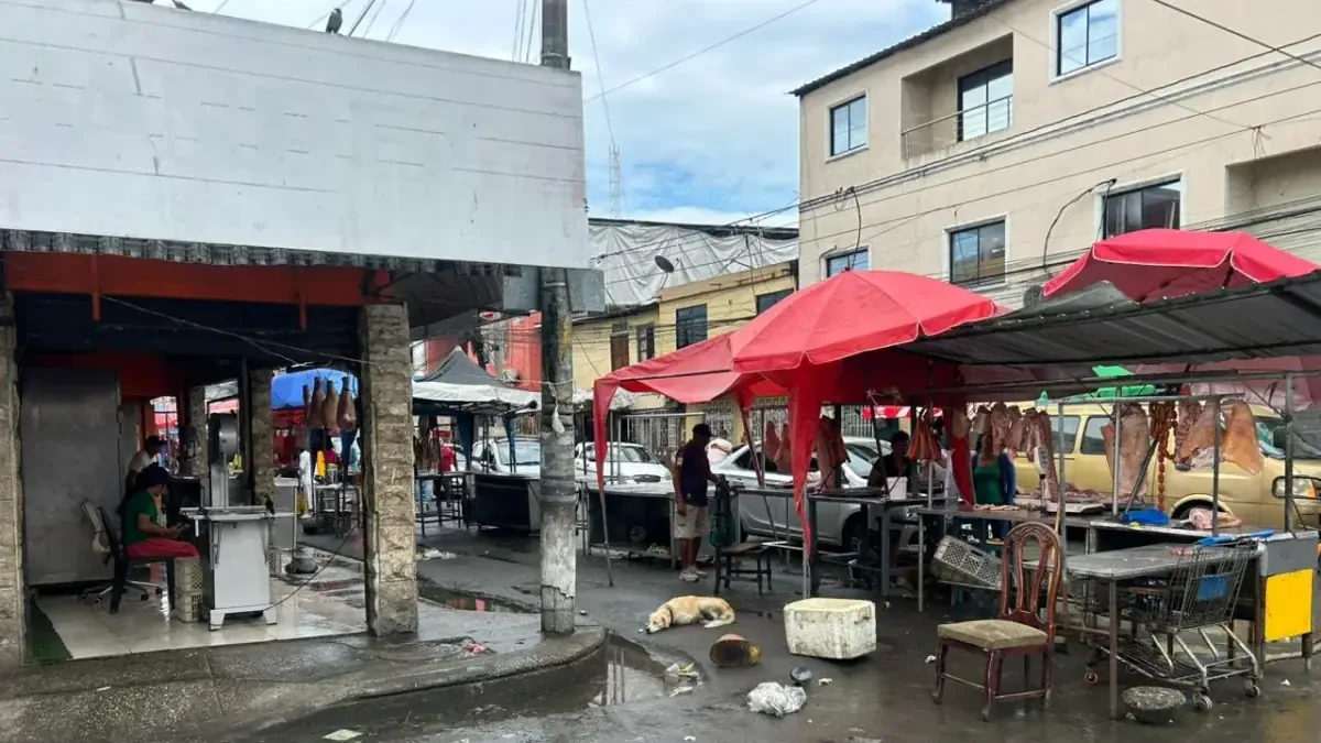 Un ataque armado en el camal de Guayaquil resultó en varias víctimas, reflejando la creciente inseguridad en la zona.