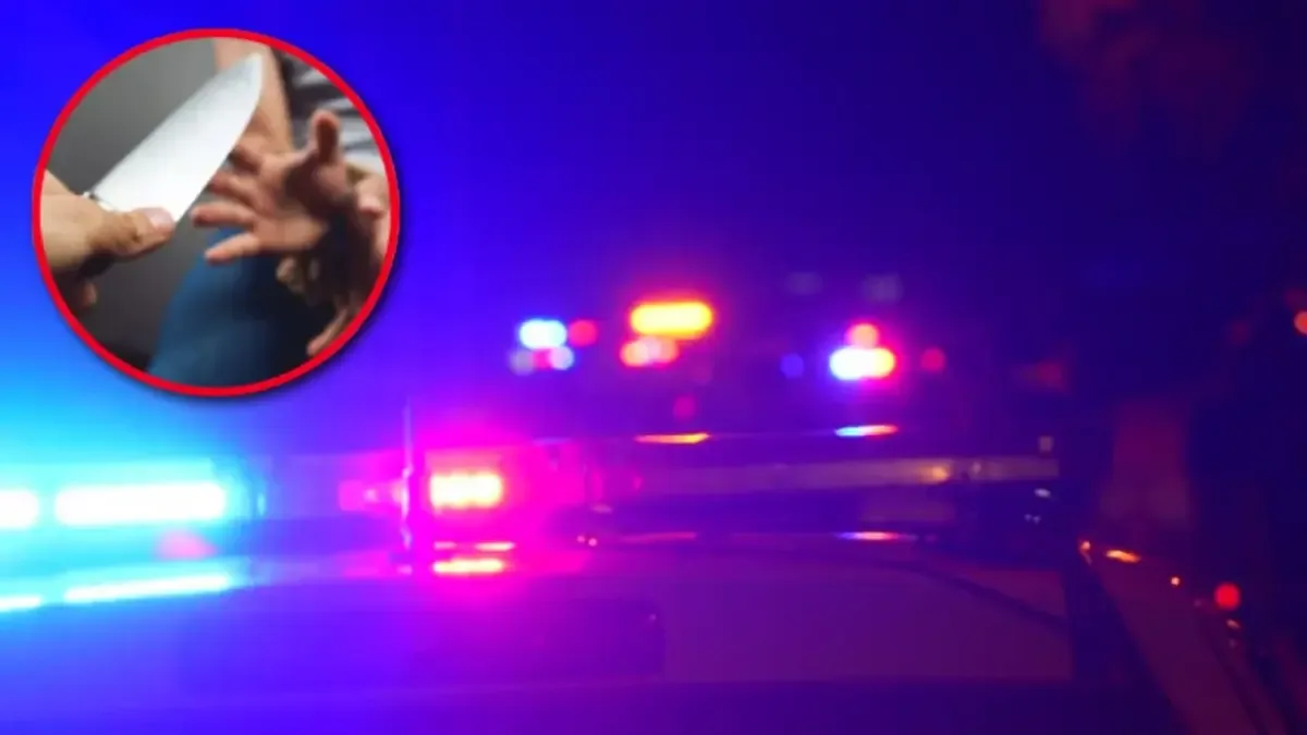 Un ataque con arma blanca resalta episodios de violencia familiar en la región.