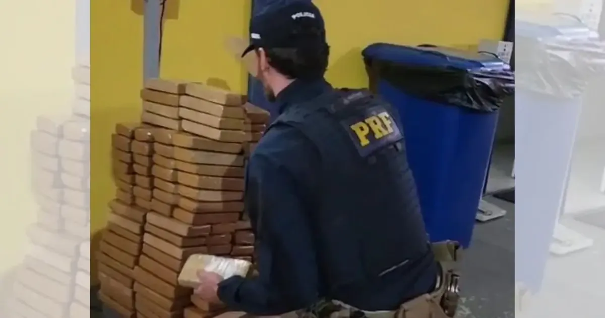Un conductor fue sentenciado tras ser detenido con una carga significativa de drogas en Santa Catarina.