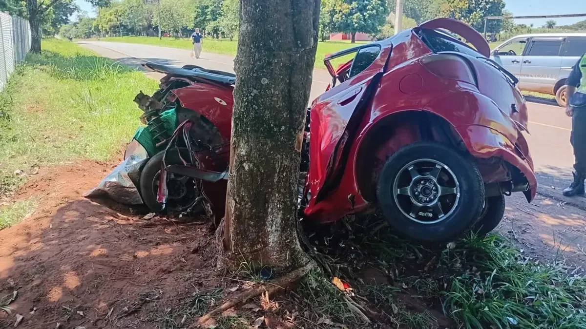 Un conductor perdió la vida tras esquivar un perro en la calzada en un accidente trágico en Guajayví.