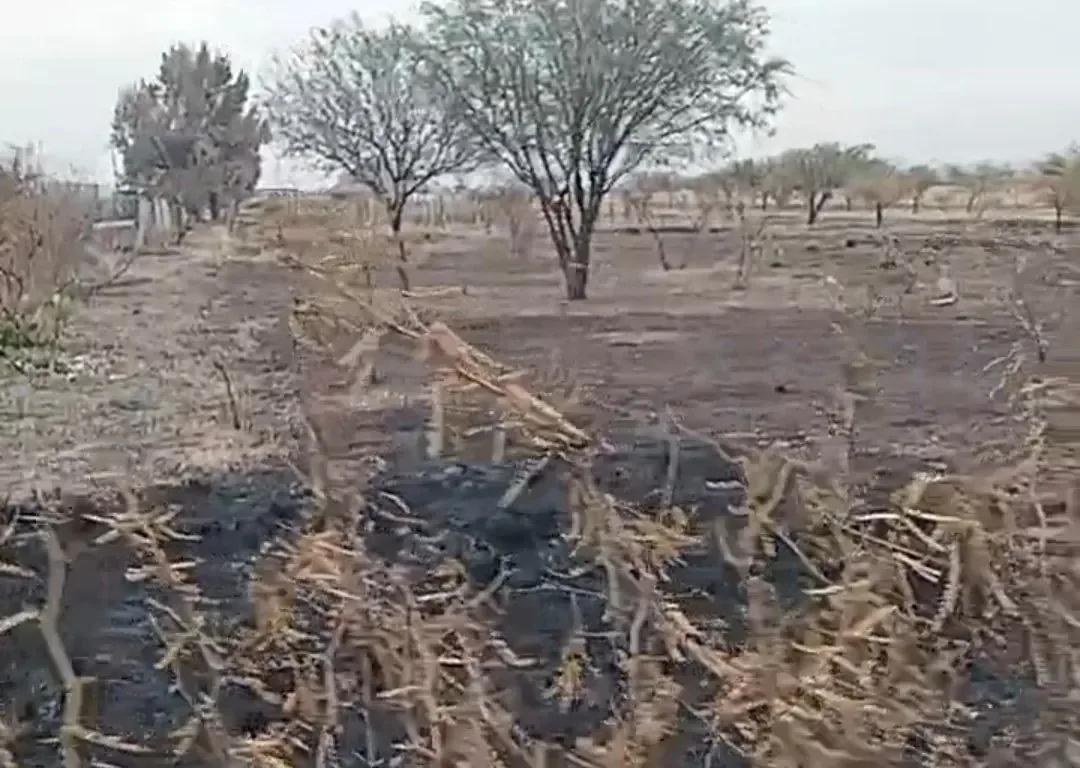 Un ecologista pide intervenciones oficiales tras incidentes en terrenos privados.