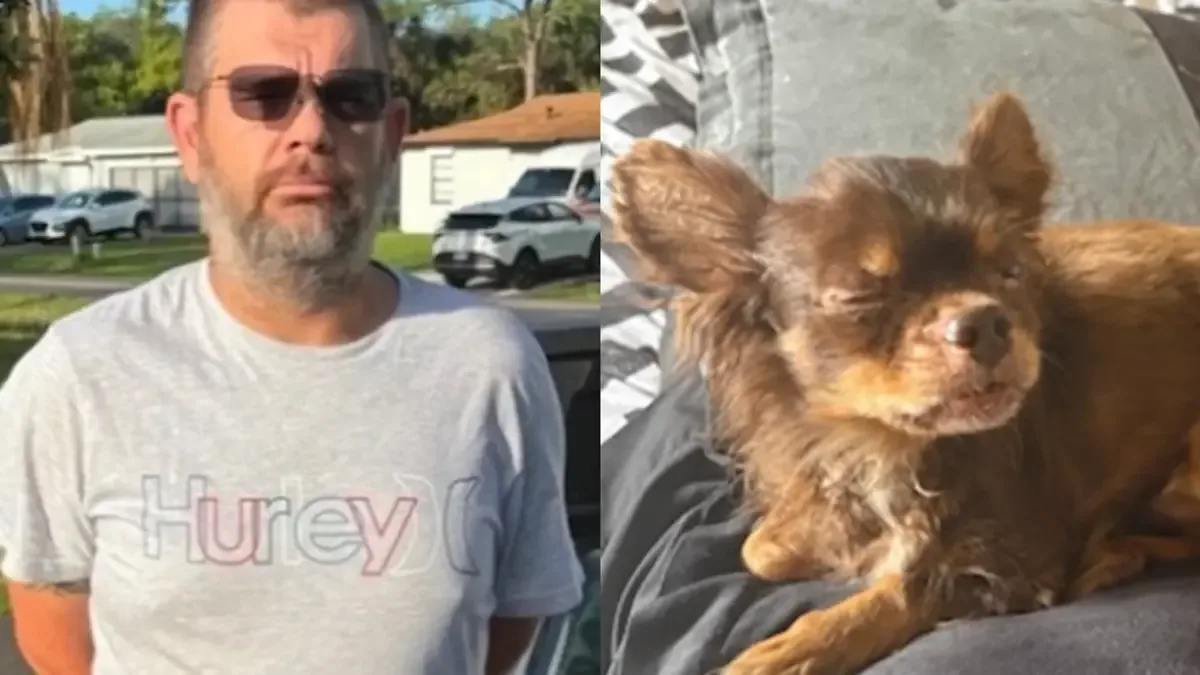 Un hombre enfrenta cargos tras agredir a un chihuahua, generando indignación en la comunidad.