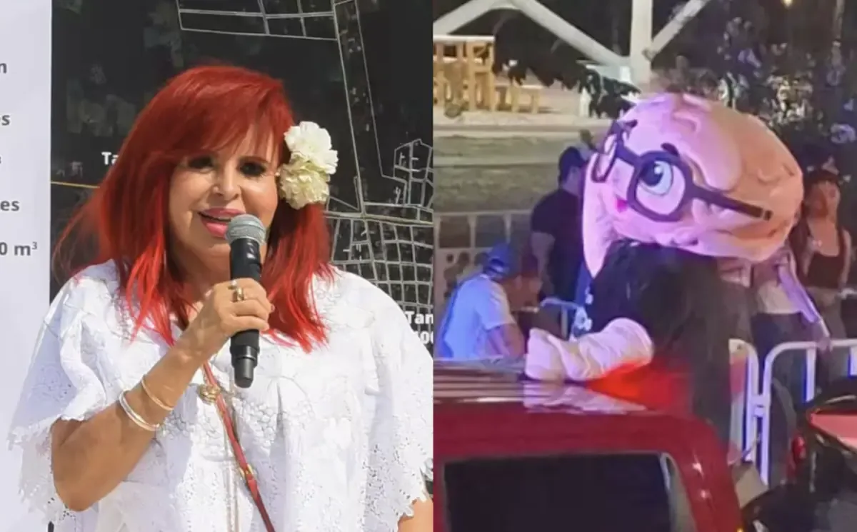 Un hombre fue arrestado durante el Carnaval por vestirse con una botarga vinculada a un exfuncionario.